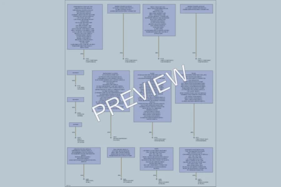 2000 MercedesBenz C230 Ground Distribution wiring diagram preview
