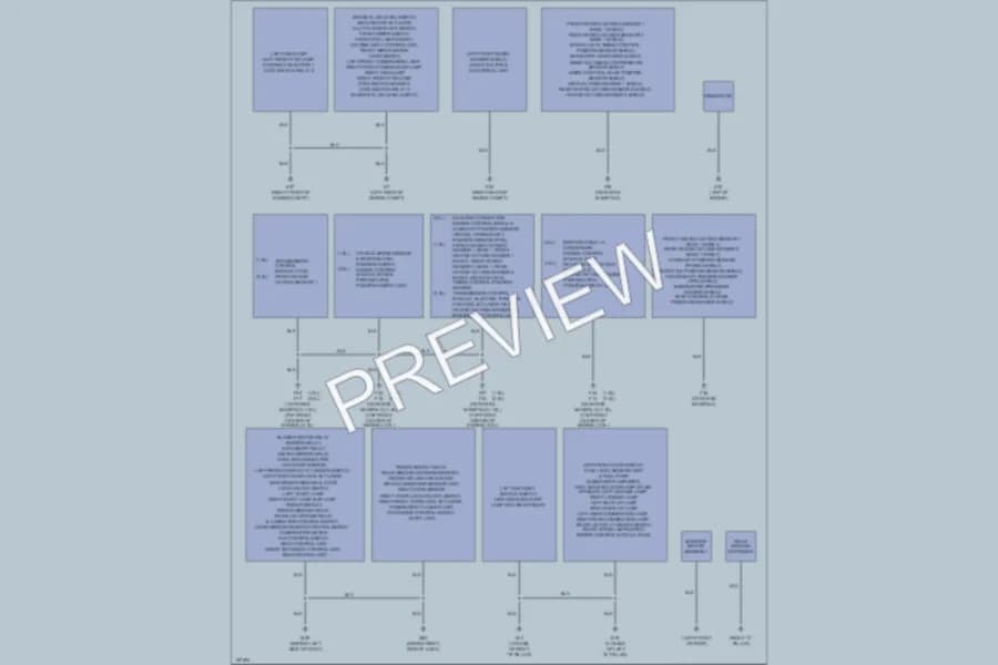 2002 Nissan Sentra Ground Distribution wiring diagram preview