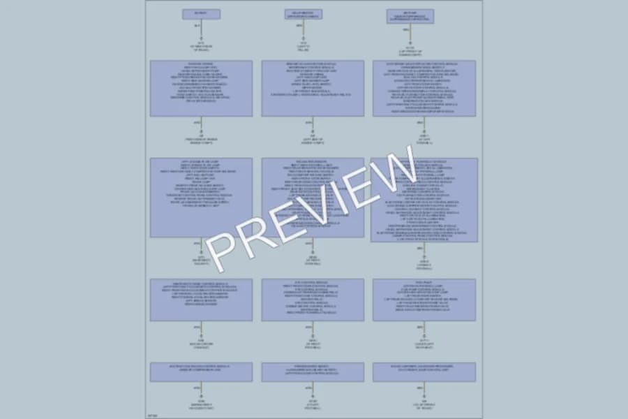 2003 MercedesBenz S430 Ground Distribution wiring diagram preview