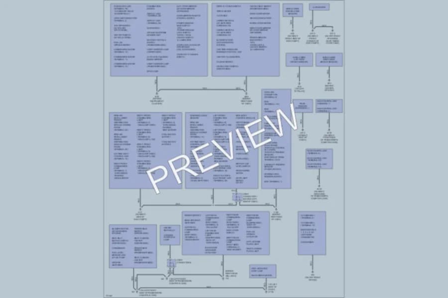 2003 Nissan 350Z Ground Distribution wiring diagram preview