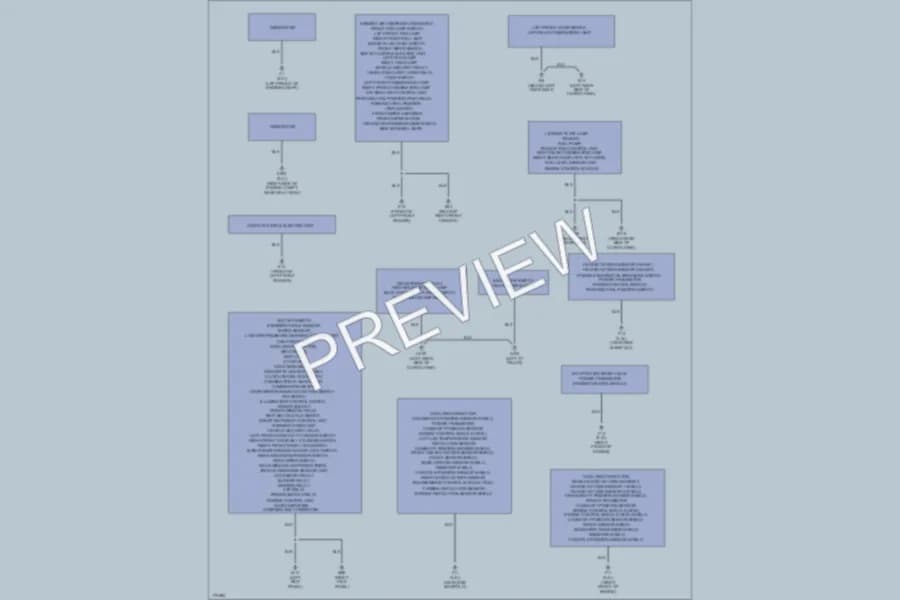 2003 Nissan Xterra Ground Distribution wiring diagram preview