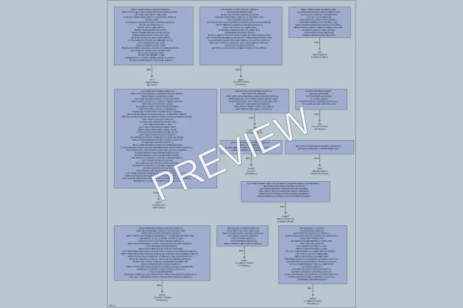 2006 MercedesBenz S430 Ground Distribution wiring diagram preview