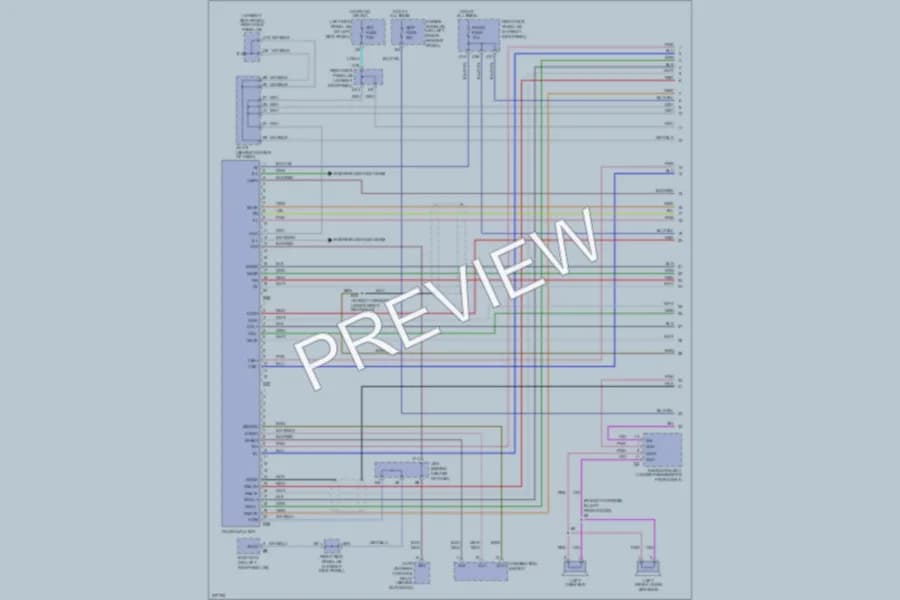 2006 Toyota LandCruiser Radio wiring diagram preview