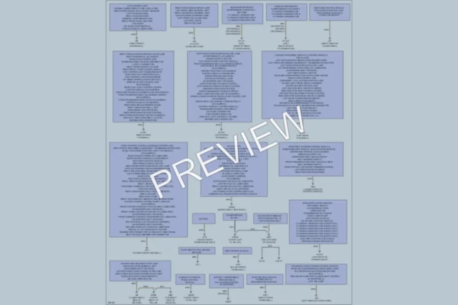 2007 MercedesBenz R320CDI Ground Distribution wiring diagram preview