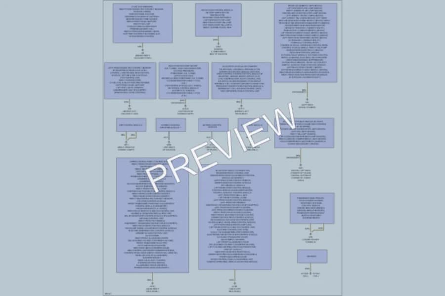 2008 MercedesBenz E320BLUETEC Ground Distribution wiring diagram preview