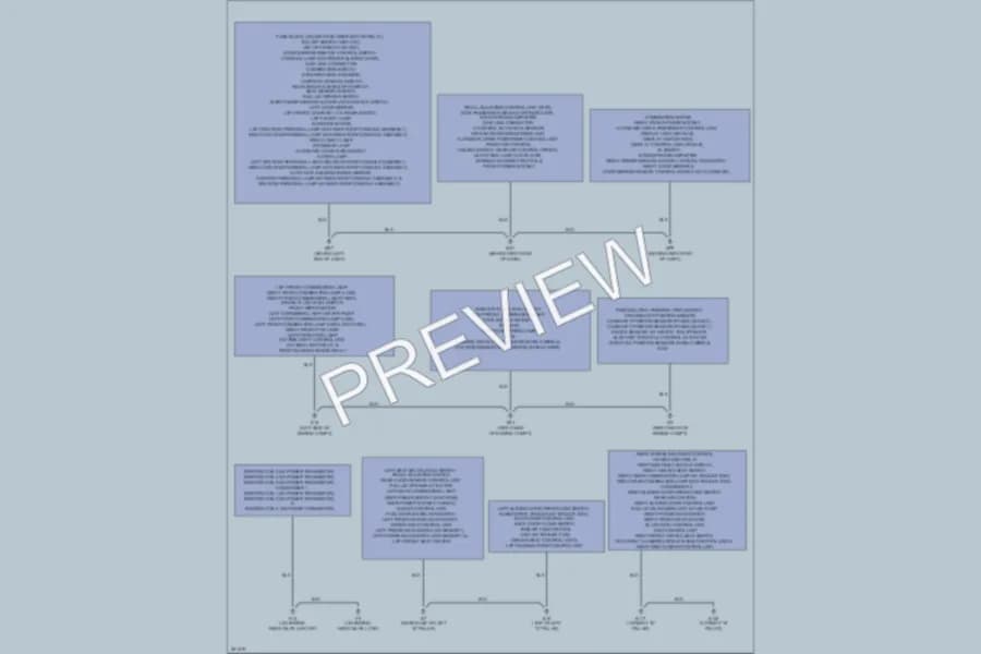 2008 Nissan Quest Ground Distribution wiring diagram preview