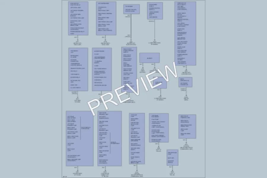 2008 Suzuki Forenza Ground Distribution wiring diagram preview