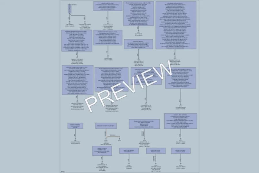 2008 Volvo S40 Ground Distribution wiring diagram preview