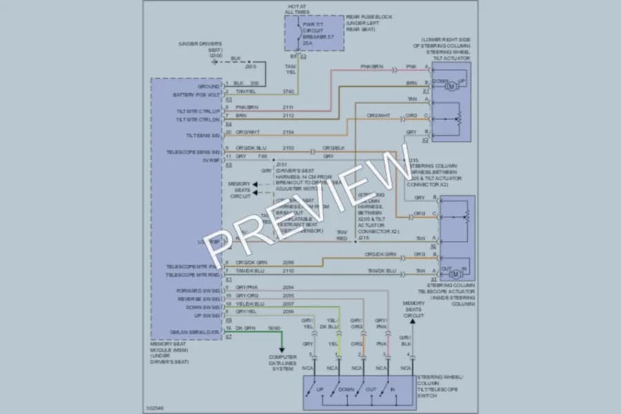 2009 Cadillac DTS Memory Systems wiring diagram preview