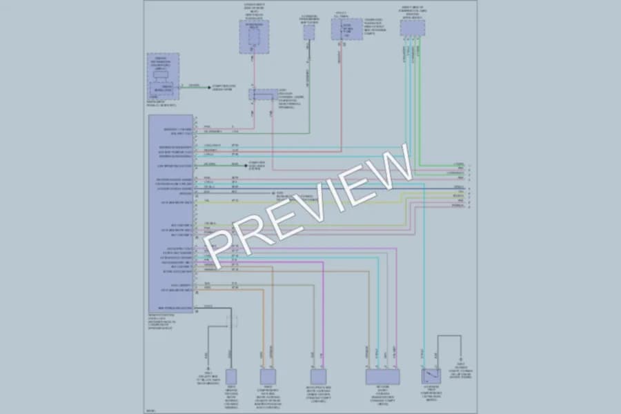 2009 Cadillac STSV Power Door Locks wiring diagram preview