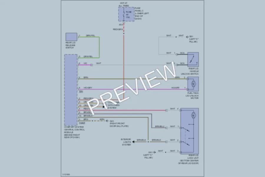 2009 Volkswagen Tiguan Trunk Tailgate Fuel Door wiring diagram preview