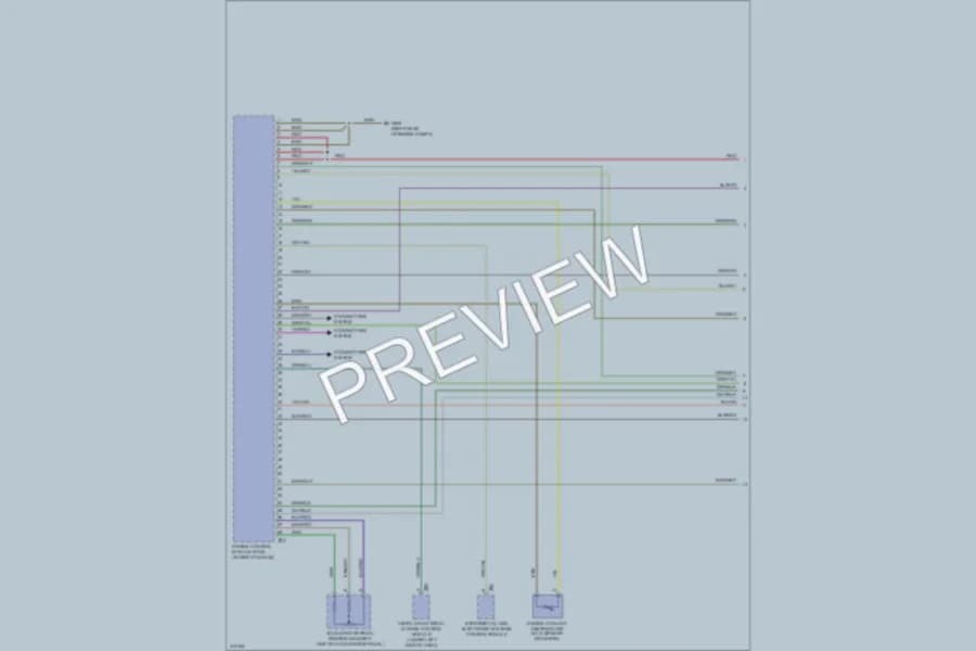 2009 Volkswagen Touareg Engine Performance wiring diagram preview