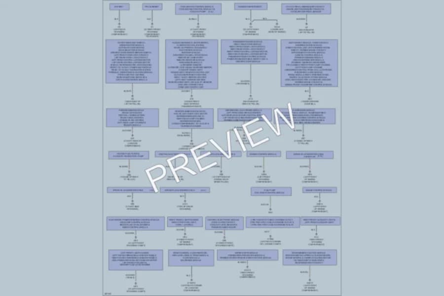 2009 Volvo S80 Ground Distribution wiring diagram preview