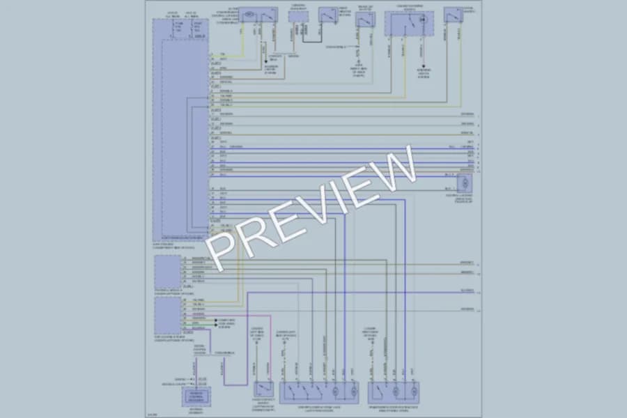 2010 BMW 328i Power Door Locks wiring diagram preview