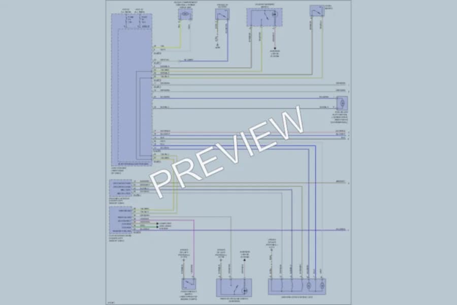2010 BMW Z4 Power Door Locks wiring diagram preview
