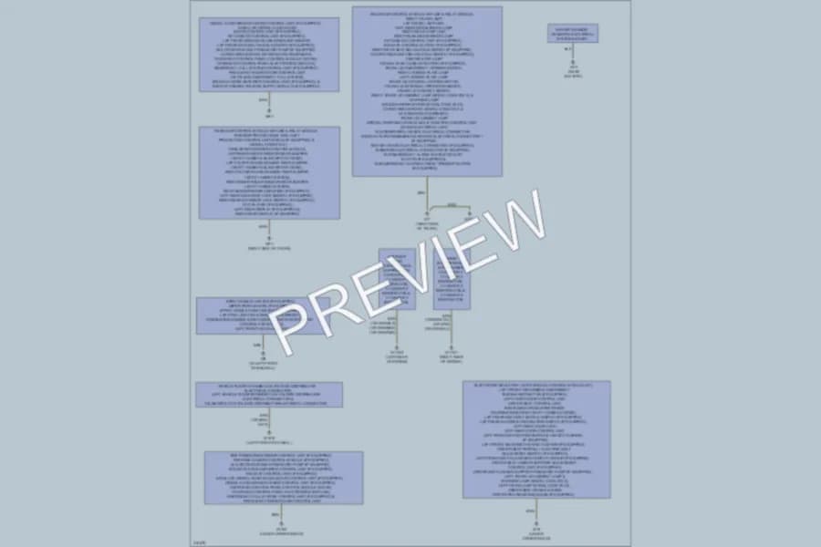 2010 MercedesBenz C300 Ground Distribution wiring diagram preview