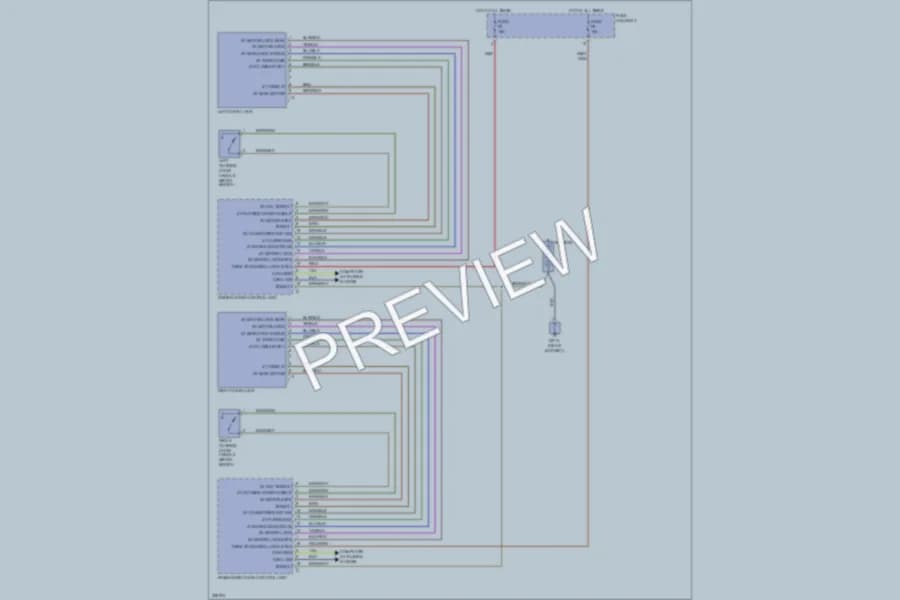 2010 Porsche Cayman Power Door Locks wiring diagram preview