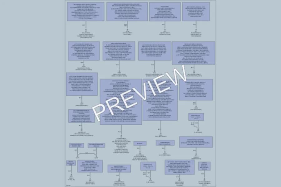 2010 Saab 93X Ground Distribution wiring diagram preview