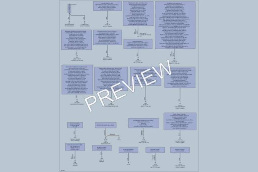 2010 Volvo C70 Ground Distribution wiring diagram preview