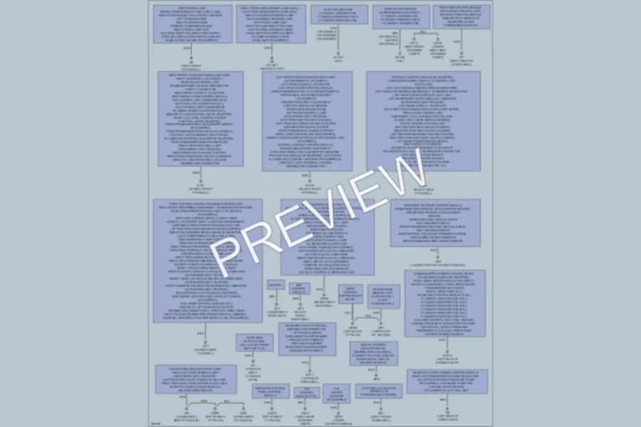 2011 MercedesBenz R350 Ground Distribution wiring diagram preview