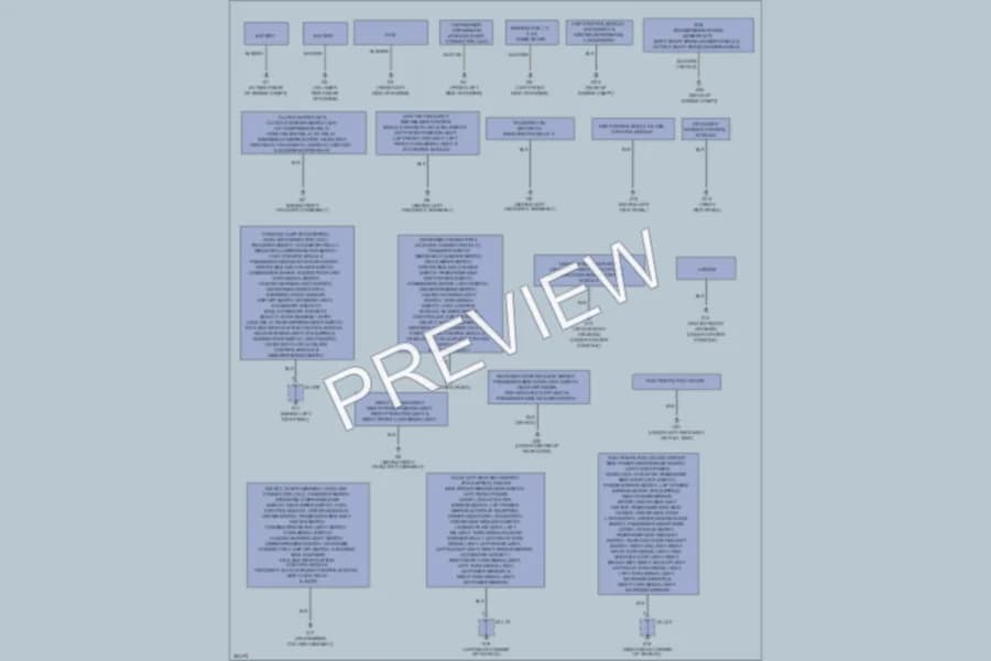 2011 Suzuki GrandVitara Ground Distribution wiring diagram preview