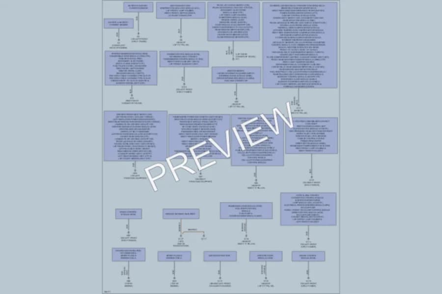2011 Volvo S40 Ground Distribution wiring diagram preview