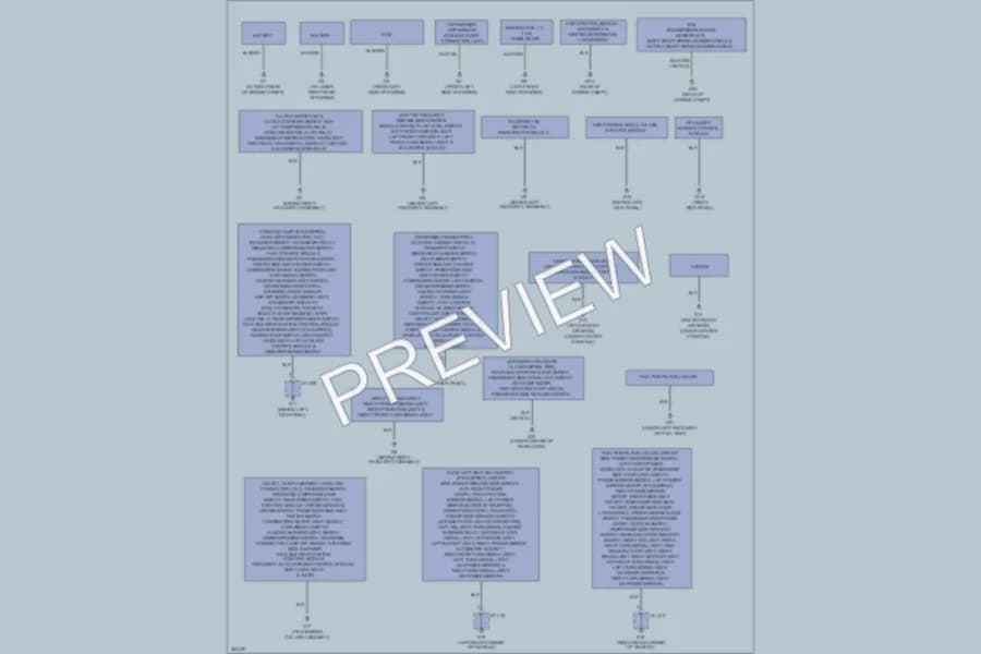2012 Suzuki GrandVitara Ground Distribution wiring diagram preview
