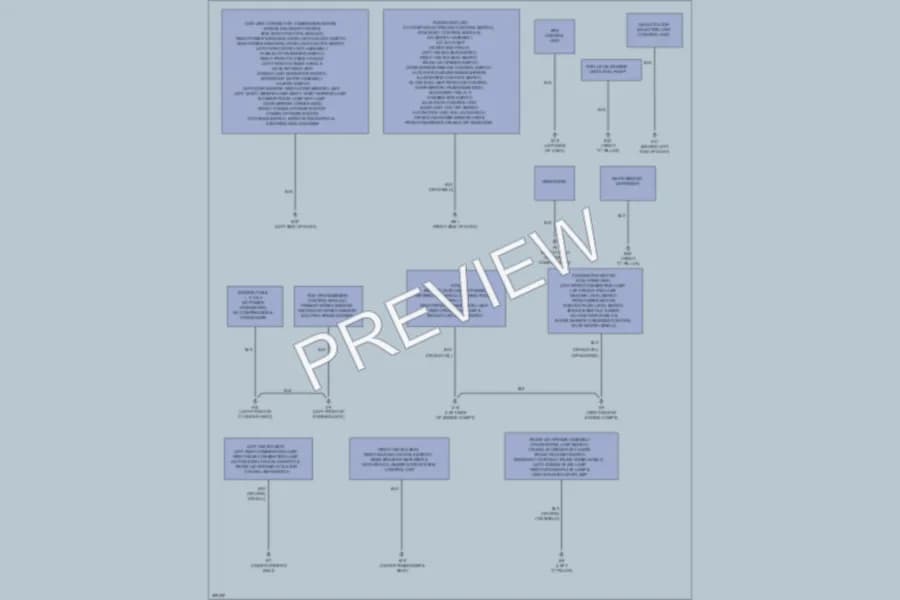 2013 Nissan Sentra Ground Distribution wiring diagram preview