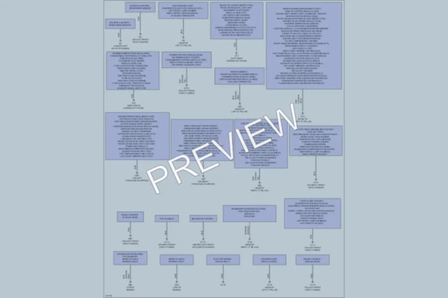 2013 Volvo C30 Ground Distribution wiring diagram preview