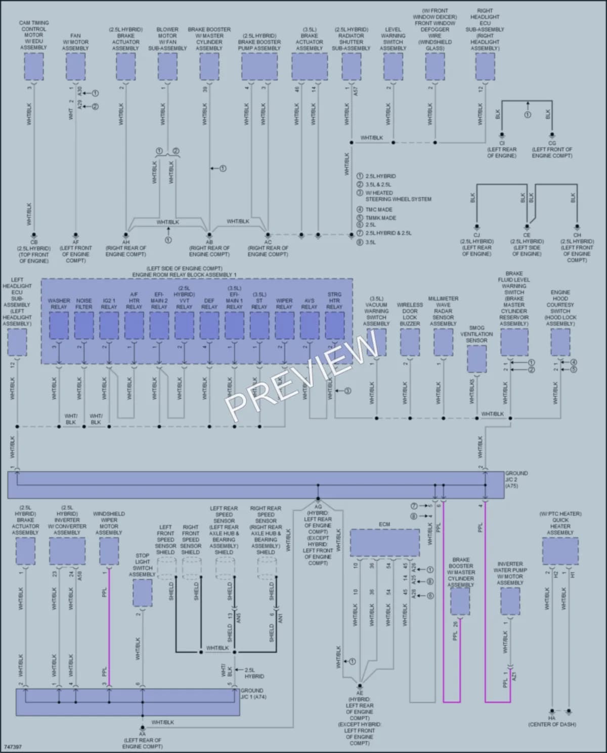 2021 Lexus ES300h Ground Distribution wiring diagram preview