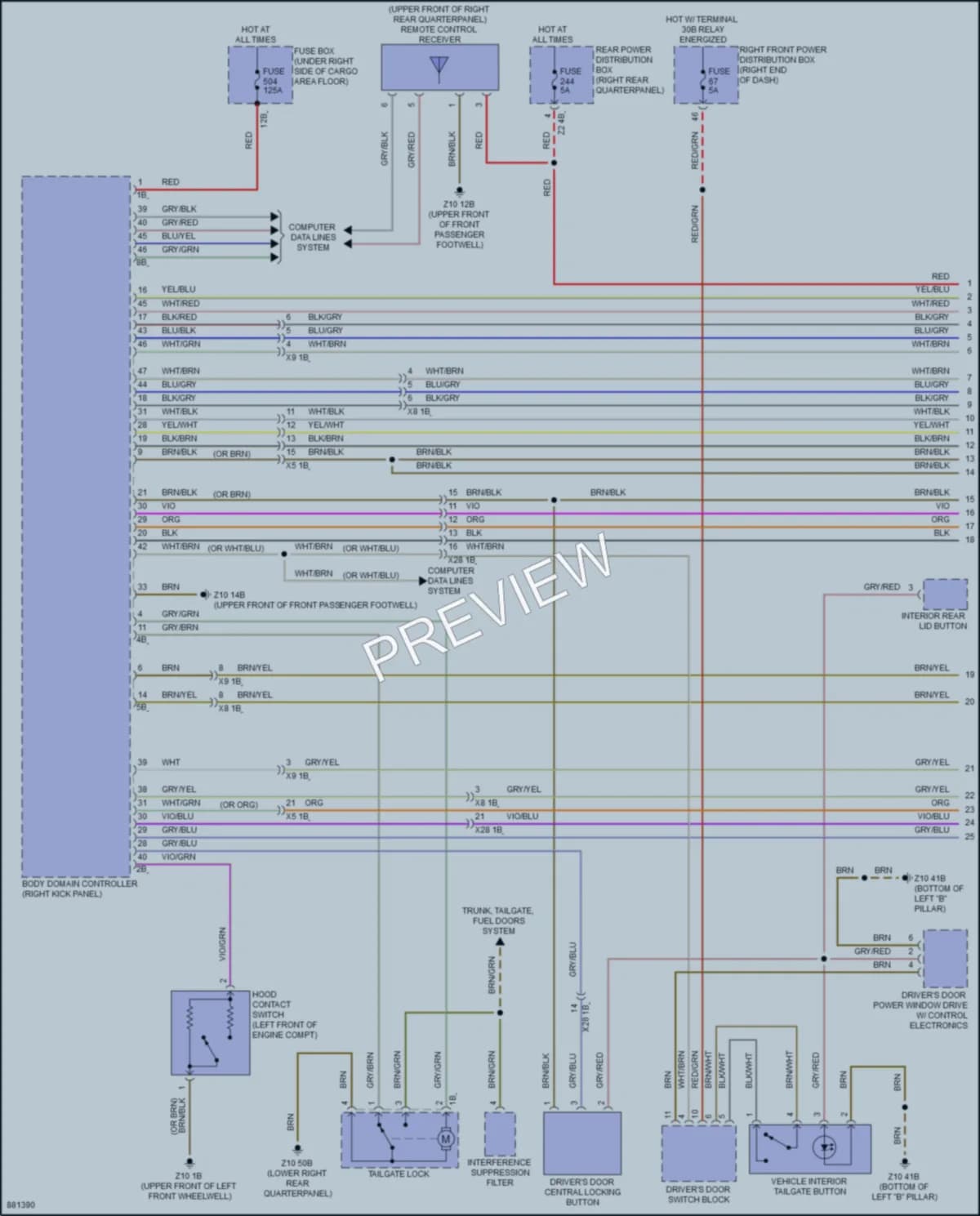 2024 BMW X4 Power Door Locks wiring diagram preview