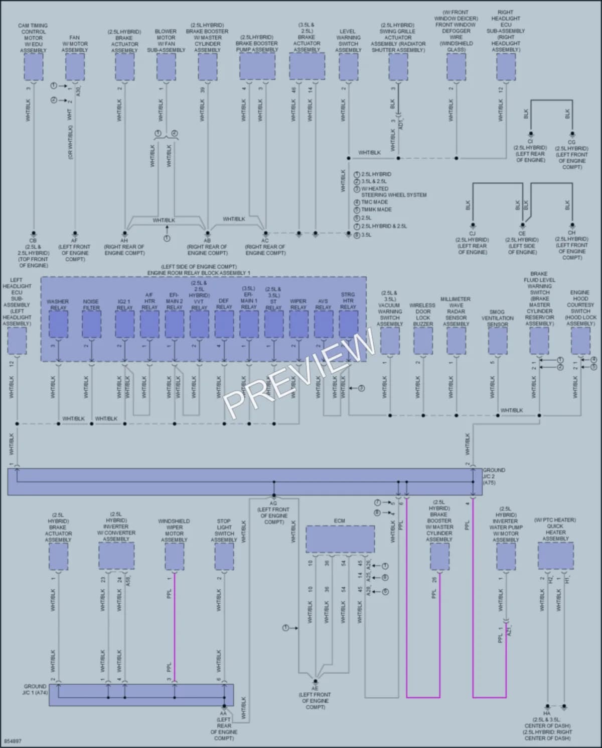 2024 Lexus ES250 Ground Distribution wiring diagram preview