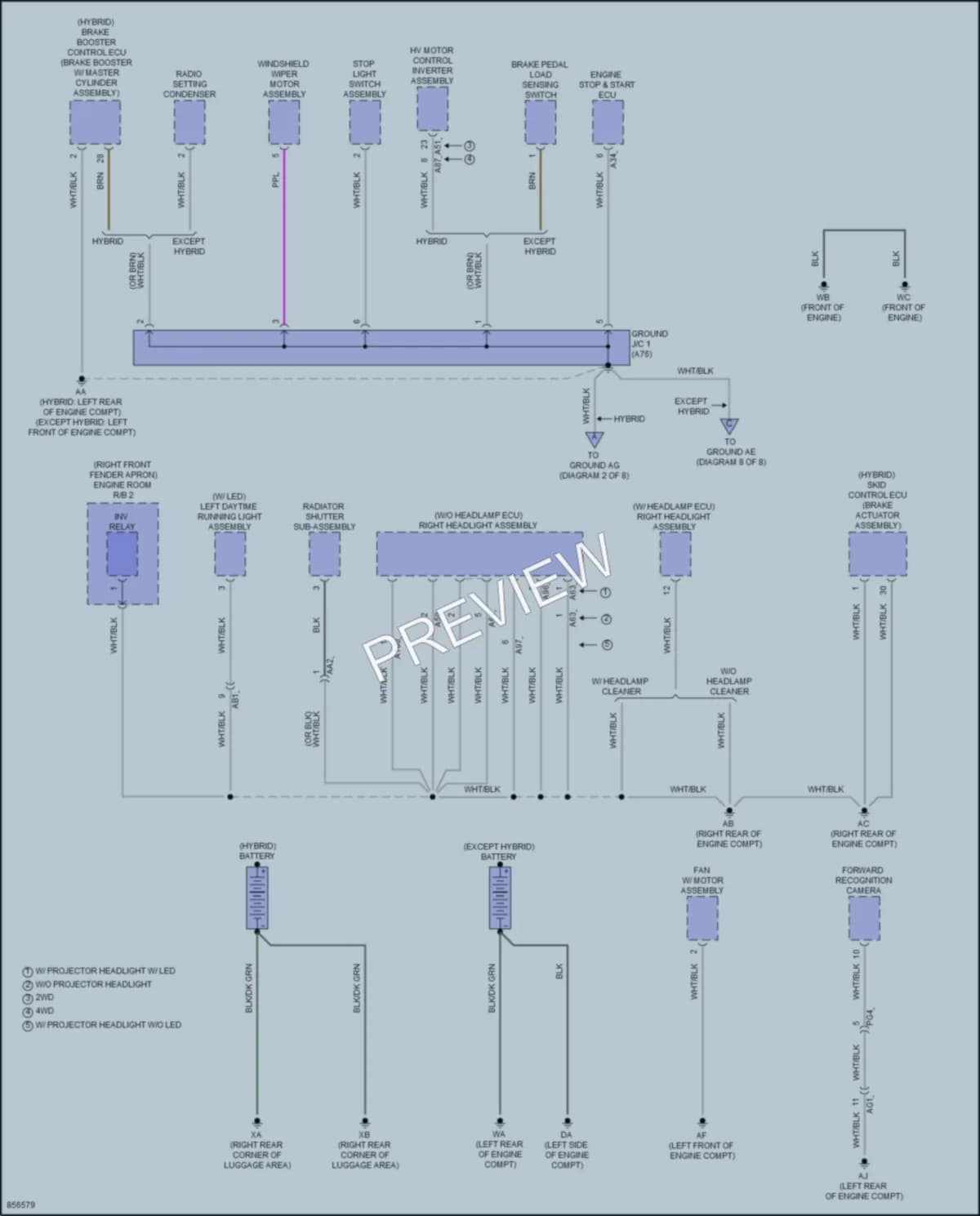 2024 Toyota RAV4 Ground Distribution wiring diagram preview
