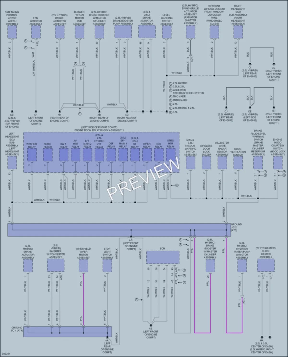2025 Lexus ES250 Ground Distribution wiring diagram preview